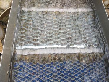 Nugget "Falle" zu Napfschleusen zu Midi Napfschleuse 212 x 130 mm