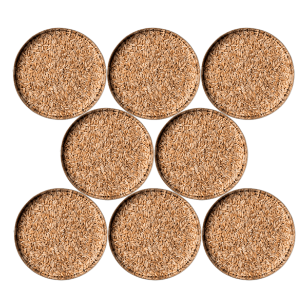 SicherSatt - Brotpaket
